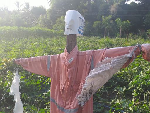 Melhores Hotéis Baratos Perto de Iguaíba, Maranhão, Brasil 2025