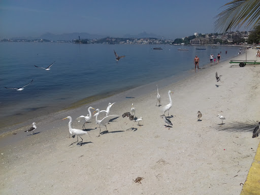 Melhores Hotéis Baratos Perto de Praia do Bananal, Estado do Rio de Janeiro, Brasil 2025