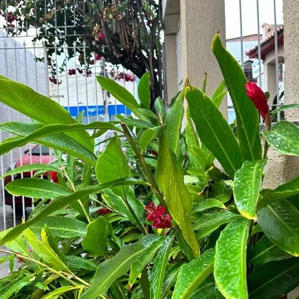 HOTEL AMADO