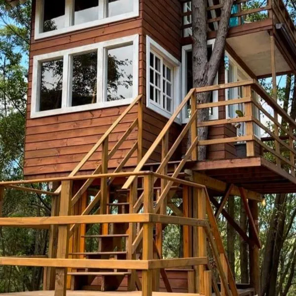 Casa na árvore perto da praia