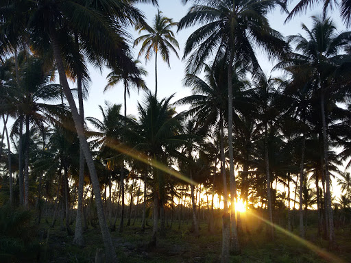 Melhores Hotéis Baratos Perto de Ponta da Tulha, Bahia 2025