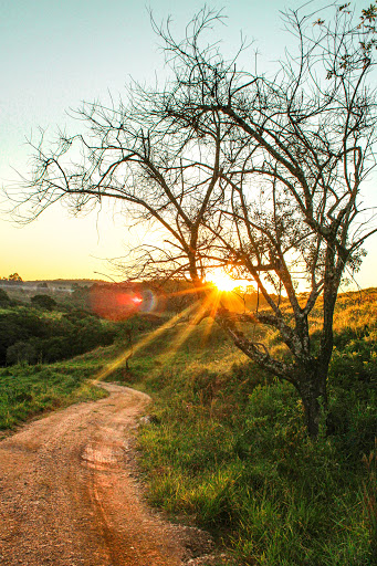 Melhores Hotéis Baratos Perto de Rosário, Minas Gerais 2025
