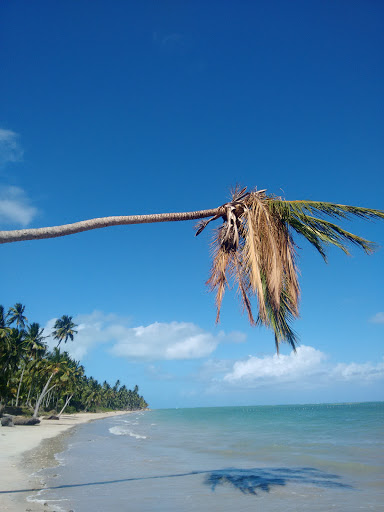 Melhores Hotéis Baratos Perto de Barra do Camaragibe, Alagoas 2025