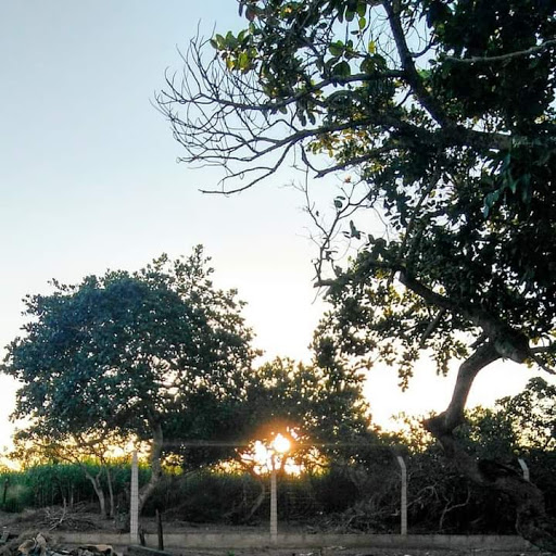 Melhores Hotéis Baratos Perto de São Gonçalo dos Campos, Bahia 2025