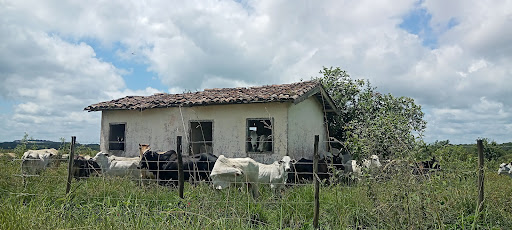 Melhores Hotéis Baratos Perto de Registro, São Paulo 2025