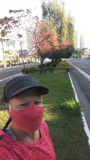 Melhores Hotéis Baratos Perto de Campo Grande, São Paulo 2025