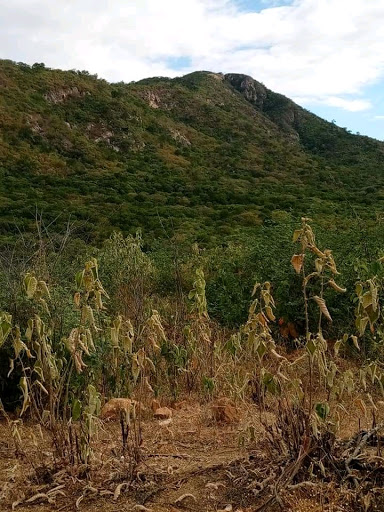 Melhores Hotéis Baratos Perto de São Francisco, Paraíba 2025