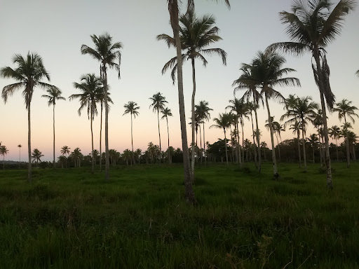 Melhores Hotéis Baratos Perto de Santa Luzia, Alagoas 2025