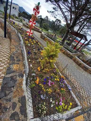 Melhores Hotéis Baratos Perto de Bom Jardim da Serra, Santa Catarina 2025