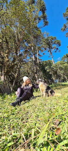 Melhores Hotéis Baratos Perto de Bateias de Baixo, Santa Catarina 2025