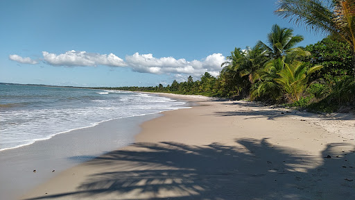 Melhores Hotéis Baratos Perto de Pratigi, Bahia 2025