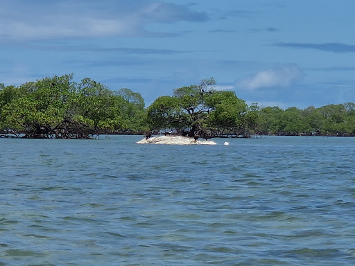 Melhores Hotéis Baratos Perto de Barra do Carvalho, Bahia 2025