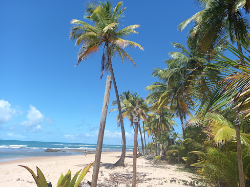 Melhores Hotéis Baratos Perto de Taipu, Bahia 2025